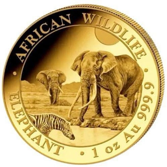 🐘🌍 Zlatá investice s africkým duchem! Představujeme vám ikonickou 1 oz zlatou minci Somalia Elephant 2026 z oblíbené série...